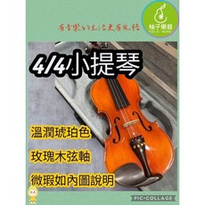 YOU ZI 4/4小提琴 亮面琴身 虎紋背板 微瑕疵, 1個