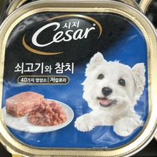 반려견 시저 Cesar 쇠고기와 사료 참치 100g 애견 강 kwl+46822LF