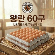 [양계장사람들] 왕란(XXL 68g 이상) 계란 왕란특란대란 달걀 60구, 1개