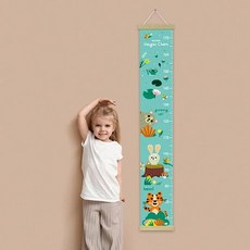 키재기 자 (블루래빗), 녹색, 1박스