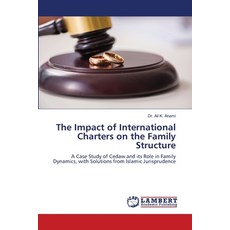 (英文圖書)The Impact of International Charters on the Family Structure 平裝版, LAP Lambert Academic Publis..., 英文