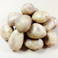 【產銷履歷】馬鈴薯, 產銷履歷馬鈴薯5斤