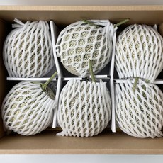 프리미엄 고당도 멜론, 1개, 7~8kg 내외 6수