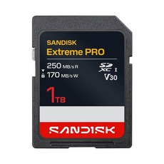 SANDISK Extreme PRO 1TB SDXC UHS-I V30 記憶卡, 1個