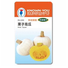 KNOWN-YOU 栗子南瓜種子 SV-255 家庭園藝 特選種子 冬季南瓜, 1個