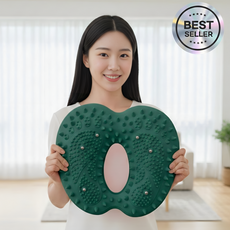 코어즈 웰니스텝 가정용 에어 지압 스텝퍼 천국의계단, 그린