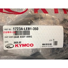 光陽正廠 LEB1 空氣濾清器箱組 A呀庫吝那 化油車 G5 125 150