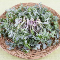 쑥향가득 여수 거문도 해풍쓱 당일채취, 1개, 500g