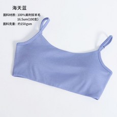 羊毛文胸 女戶外速幹胸罩 16.5um美利奴 美背運動內衣 跑步文胸
