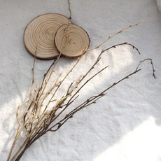 달리베리 빈티지 곱슬나뭇가지 조화(브라운) 돌상 백일상 플라워수업재료, 1개