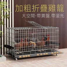 NINI 加粗折疊雞籠 大空間 附糞盤蛋托 多門設計 免安裝 120x50x65cm, 1個, 【送糞盤+蛋托+食槽水槽+腳墊】,精品加粗120*50*65cm