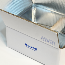 렛츠쿨 은박종이 보냉박스 쿨박스, 10개, 화이트