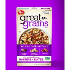 포스트 그레이트 그레인 453g 미국 건포도 시리얼 Great Grains, 1개