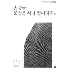 GANG 手風琴 當一滴水珠落下時 等：金源一小說中篇集, 金源一 著