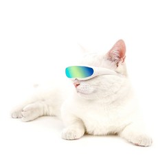 유니펫 강아지 고양이 선글라스 퓨처 고글, 골드 화려한