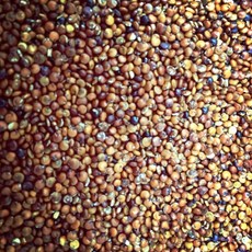 紅蔾米麥 (無殼), 1個, 600g/1斤
