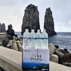 울릉도 고로쇠물 첫물 원액 1리터 인삼맛 사은품증정, 12개, 1L