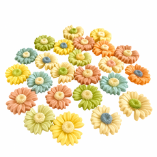 萌寵食代 雞肉奶酪小雛菊寵物零食 狗狗貓咪手工餅乾, 5g, 6個, 雞肉+蔬菜