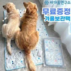 무독성 냉각젤100 차가움연구소 시원한 강아지 애견 쿨매트 쿨젤매트 겨울보관팩 세트, 1개
