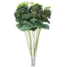 ABOOFAN 식용 유칼립투스 컵케이크 토어 베이킹 인서트 장식 나뭇잎 모양 케이크 유칼립투스 잎 케이크 장식 20개, ABOOFAN 식용 유칼립투스 컵케이크 토어 베이킹 인