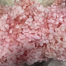 無名精鑽 繡球花 永生繡球 不凋花乾燥花, 5克/盒裝/櫻花粉