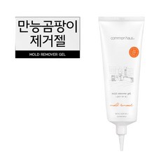 만능 곰팡이제거젤 2개/곰팡이제거제/벽/벽지/베란다, 120g, 2개