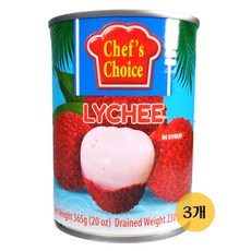 쉐프초이스 리치 인 시럽 과일통조림, 565g, 3개