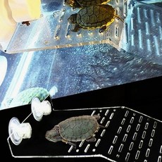파충류 육지 쉼터 거북이 햇빛 휴식 테라스 일광욕, 1개, 거북이 쉼터-L