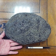 §能量礦石§ 印尼隕石 Agni Manitite 火山玻璃 7664克 俗稱印尼天狼星 烈火石 黑隕石 古黑曜石