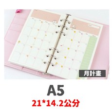 活頁夾鏈袋 信用卡套 活頁內頁 6孔活頁本 理財收納本 鈔票收納 活頁簿 記帳本, 大號A5 月計畫內頁【不含外殼】, 1個