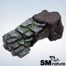 SM 거북이 계단육지 [특대], 1개