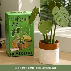 나뭇잎 거실 인테리어 코스터 플랜테리어 자석 홈카페, 1개, 화분 올리브그린 선물 상자 B