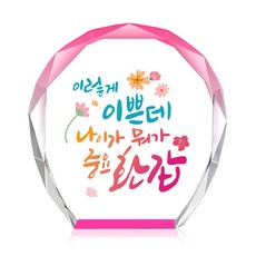 [캘리] 컬러 미니 크리스탈 상패 부모님 어버이날 생신 퇴직 감사패 선물 이렇게 이쁜데 CS-103-9-T, 9.이렇게 이쁜데