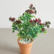 세덤화분set 30cm (DIY) 조화 인테리어, 1개, 레드
