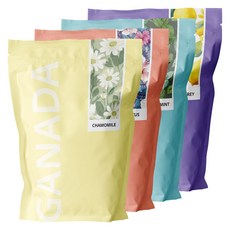 가나다 허브차티백 믹스 4종 캐모마일 히비스커스 얼그레이 페퍼민트 각 25티백 (100티백), 1g, 2세트, 100개입