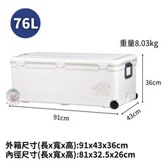 【日本製】伸和冰箱 76L 釣魚冰箱 冰桶 行動冰箱 保冰箱 車用冰箱 保冷箱 露營冰箱 Holiday Land, 詳見包裝, 詳見包裝, 伸和冰箱（76L／白色）