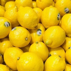 네보자 팬시 레몬 10개 레몬즙 유기농레몬 생레몬 요즘제철과일