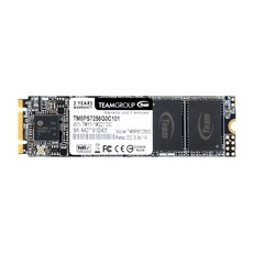 TeamGroup MS30 M.2 SATA (256GB), 0GB