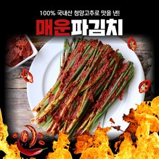 경자네 국내산 전라도 청양 실비 알싸하게 매운 파김치, 1개, 500g