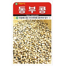 아람 동부콩 씨앗 30g, 1개