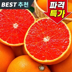 [파격특가] 카라카라 오렌지 상큼꿀맛 초고당도, 1박스, 20과