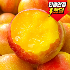 [첫수확초특가] 과즙폭발 자두 가정용 햇자두, 1박스, 250g