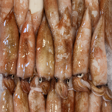 급냉 한치 최상급 30미 내외 부드러운 생물 신선한 맛 그대로 조리용 통찜용, 1개, 1kg