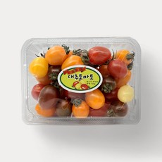 정담은 컬러 대추 방울토마토 특등급 백화점과일, 1개, 750g