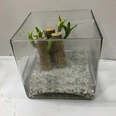 뉴 유리꽃병 유리화병 조화화병 유리꽃병 유리절화병 네모꽃병 (사이즈20- 20-높이20cm)유리꽃병 조화유리수반-정사각유리, 1개