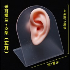 실리콘 모형 귀청소 연두색 led귀이개 연습 골격 착샷 피어싱 스탠드 외이도 실습 귀관, 귀청소의실리콘모델(왼쪽귀), 1개