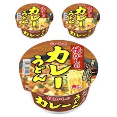 뉴터치 그리운 카레 우동, 3개