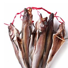 명절 제수용 명태 반건조 코다리 코다리찜용 4미 1코, 1개, 800g