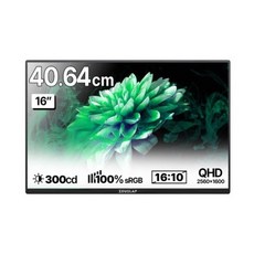 제우스랩 2.5K QHD 휴대용 모니터, 40.64cm, P25K올검정