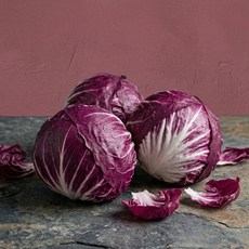 [가든엔] 미국산 라디치오 특품, 1개, 300g